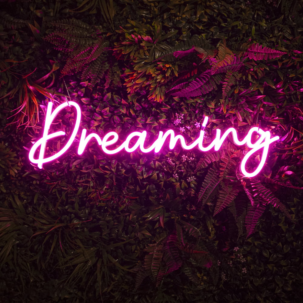 LED Neon Sign Dreaming