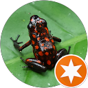 wesley ramakers profielfoto